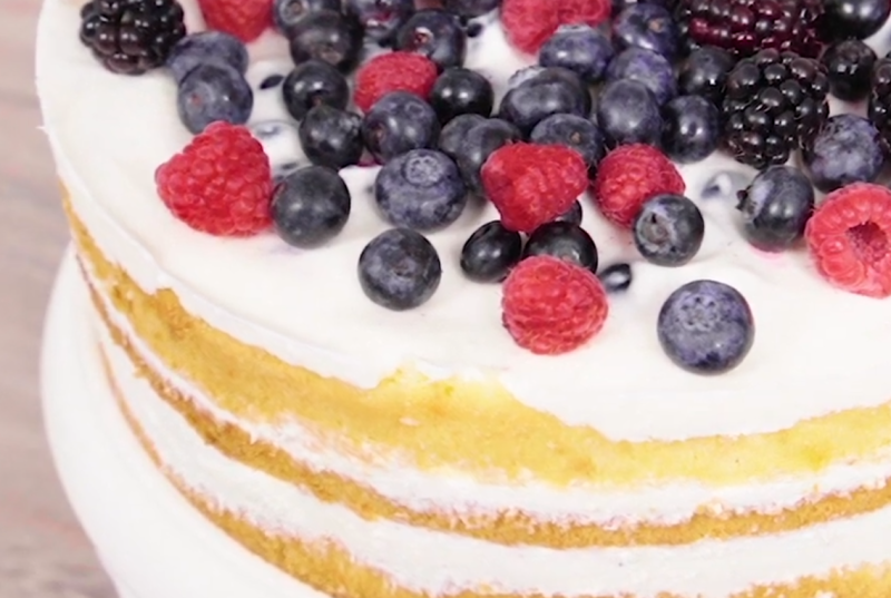 131409_joghurt-beeren-torte.png 131409_joghurt-beeren-torte.png